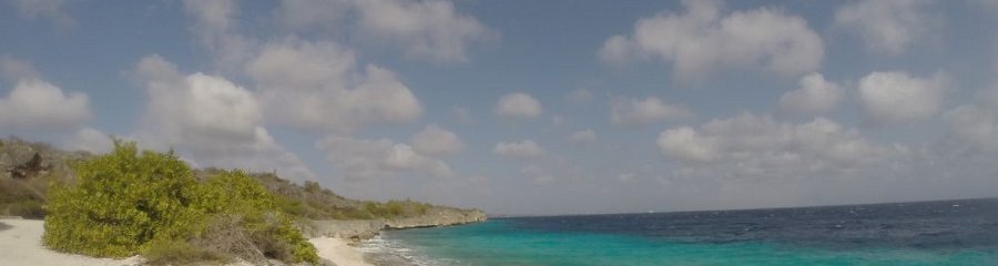 Bonaire 2014
